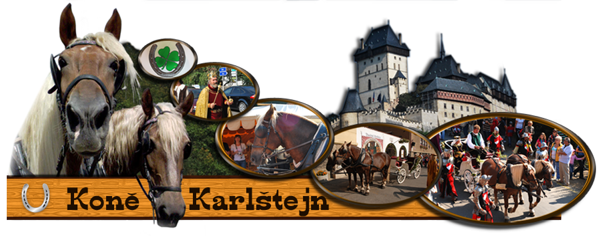 Koně Karlštejn